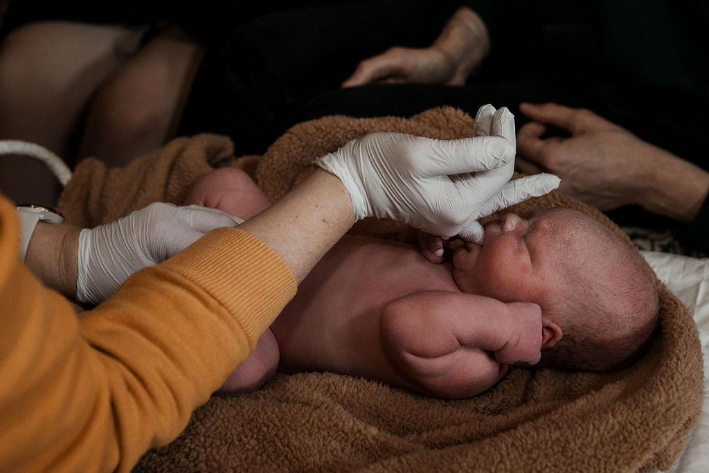 Bianca van der Aalst fotografie