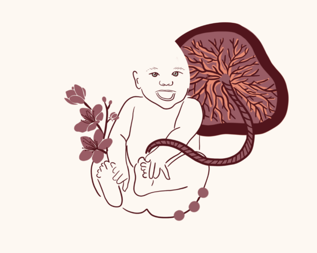 Baby met placenta