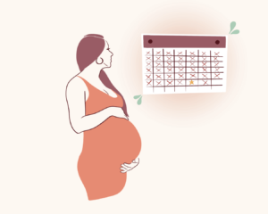 Over tijd zwangerschap Serotiniteit