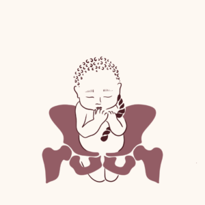 Stuitligging baby bekken